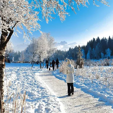 On Mieminger Plateau With Mountain Views * Mieming