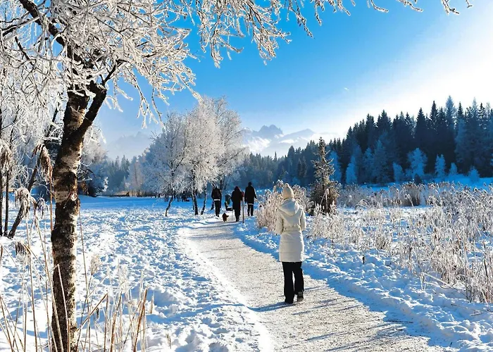 On Mieminger Plateau With Mountain Views * Mieming